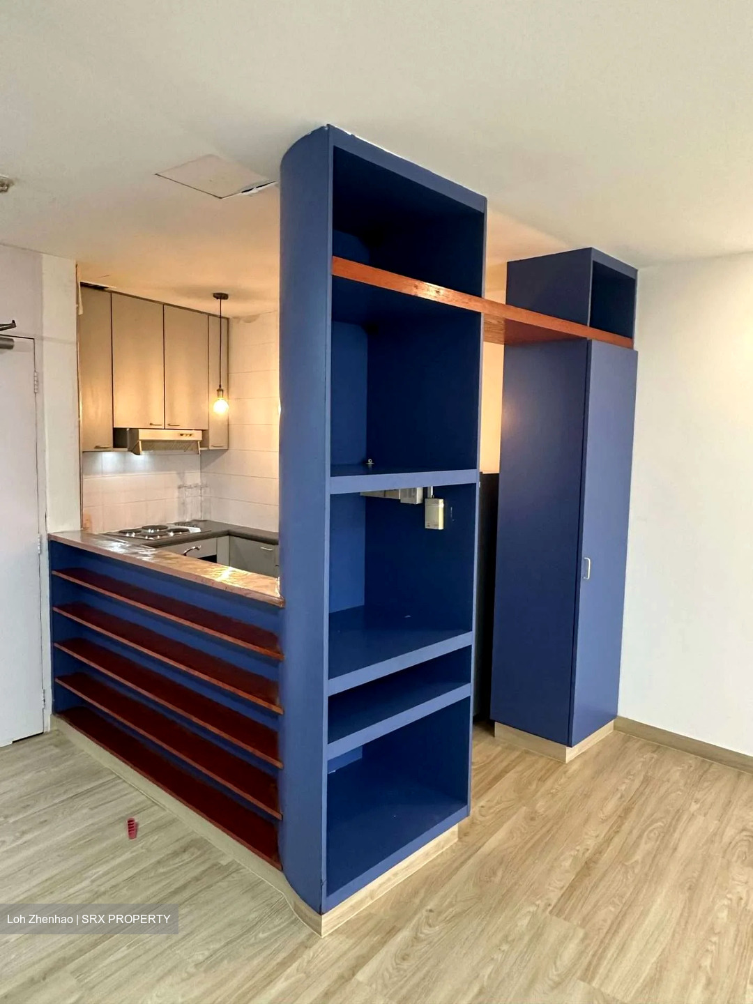 The Plaza (D7), Apartment #524048921